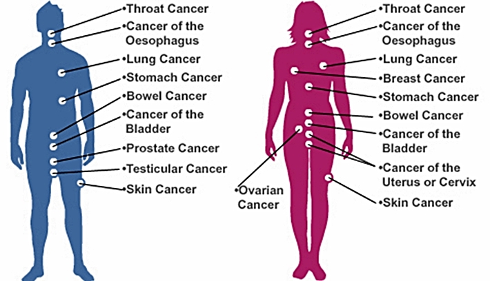 1. Types of Cancer